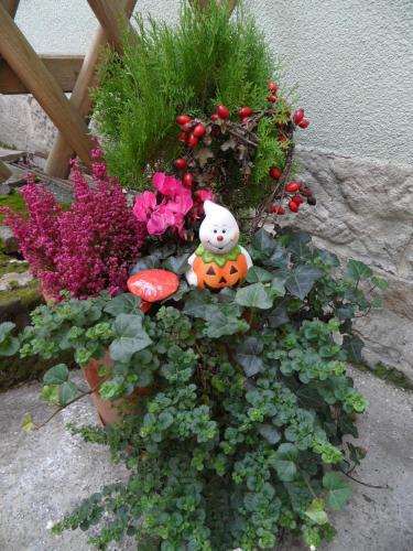 Apartment in Bad Schandau 