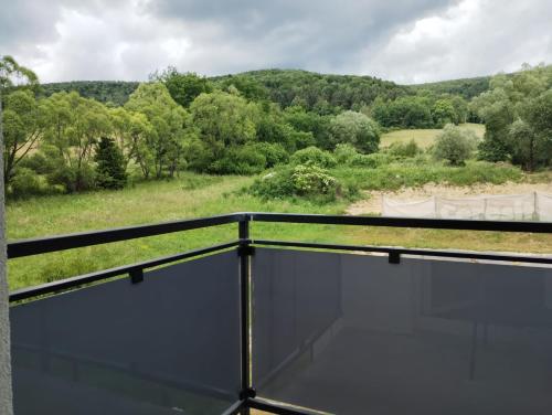 Biało - niebieski, Ustrzyki Dolne (foto 9)