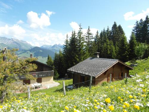 La Montagnette Chateau d'Oex