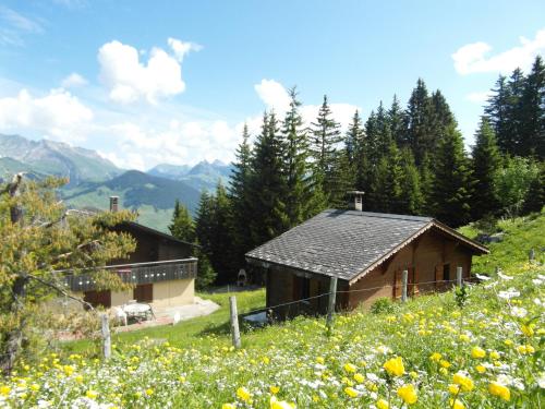 La Montagnette - Chalet - Château d'Oex