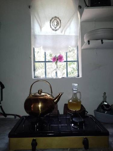 If you enjoy nature, La Antigua is the place in Leona Vicario
