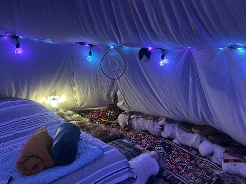 Viesnīcas āriene, Romantic Wildlife & Stars Teepee Experience Apuseni Mountains in Sunksujusa