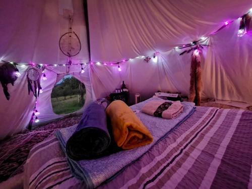 . Romantic Wildlife & Stars Teepee Experience Apuseni Mountains