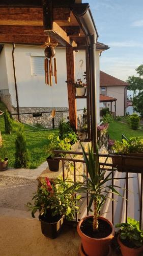 Guest House Stevovski in Elshani