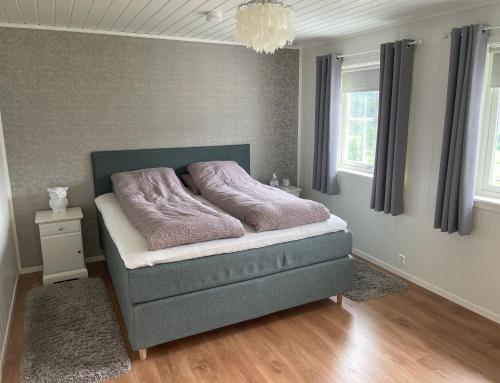 Villa i Isfjorden! Villa i Isfjorden!