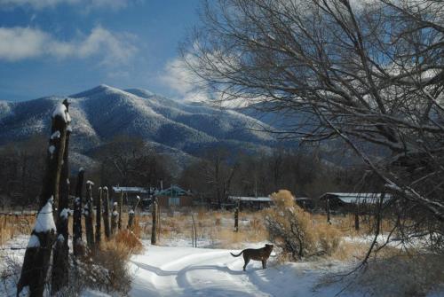 Taos Goji Farm & Eco-Lodge Retreat - Hotel - Arroyo Seco