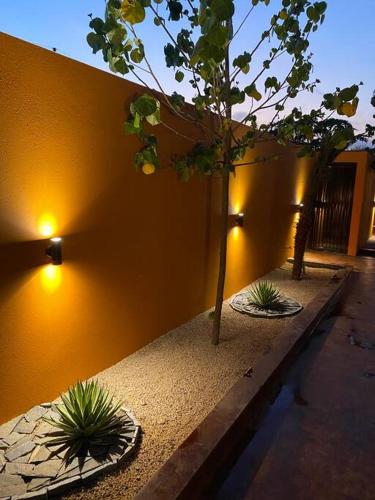 CASA LOS MANGOS todo santos in Todos Santos, Mexico
