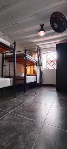Bed in 6-Bed Mixed Dormitory Room with private bathroom image 10