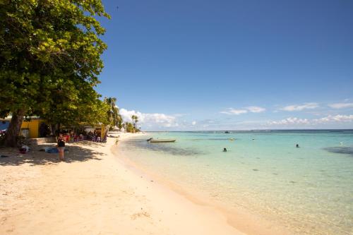 Strand, Appartement les pieds dans l'eau in Sainte Anne