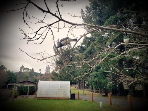 Entrance, Height of Dunedin Serviced Farm Stay in Other