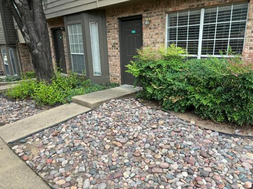 Hosting Nightly Nestings in Dallas (TX)