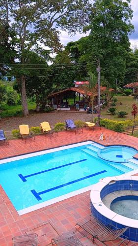 Bosque Del Quindío la mejorana