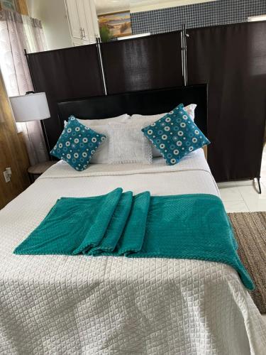Adama Suites Studio 1B in Potters Village