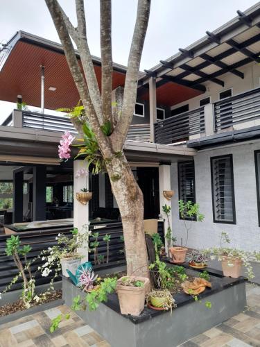 BIDESI VILLA Apartments in Suva