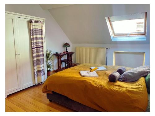Chambre double dans maison lumineuse Saint Job Uccle, Bruselas (foto 7)