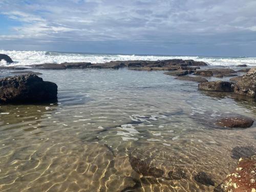 Milkwood Haven in 彭寧頓