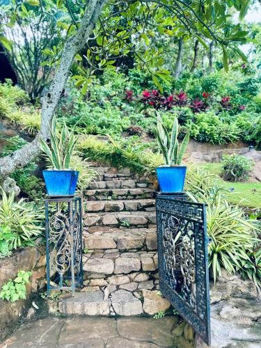 Binh An Village Vung Tau