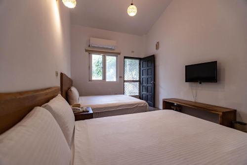 Three-Bedroom House image 2