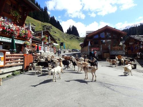 Appartement Portes du Soleil à Le Biot avec ménage et WIFI inclus (Appartement Portes du Soleil a Le Biot avec menage et WIFI inclus) in Le Biot
