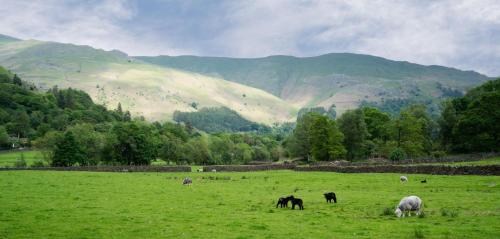 Panoramic Views & Spacious Living by LetMeStay, Grasmere (foto 5)