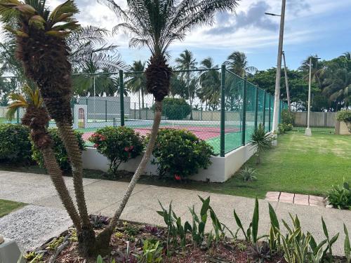 Luquillo Beach & Ocean Fresh - main image