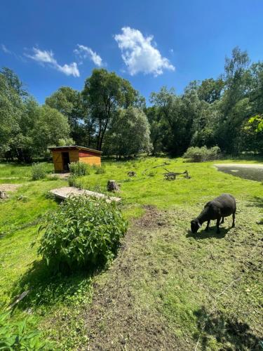 View, Penzion Cerny Mlyn in Duba