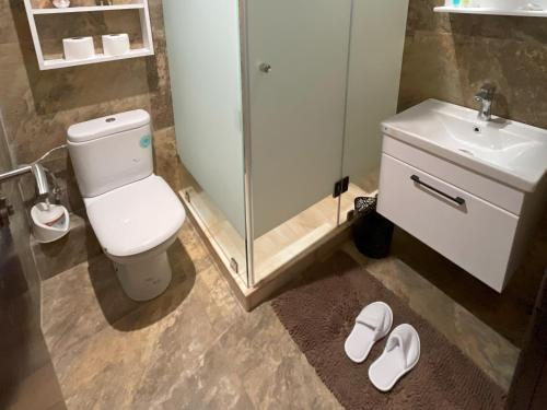 Exterior view, Islan in Swiss City