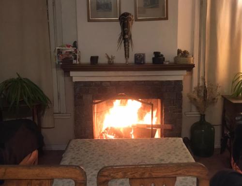 La Casita del Bosque