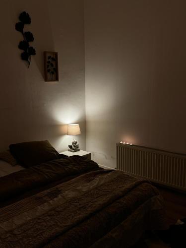 Rue blaes Appartement, Bruselas (foto 7)