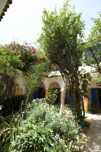 Dārzs, Riad Isla in Ghazoua