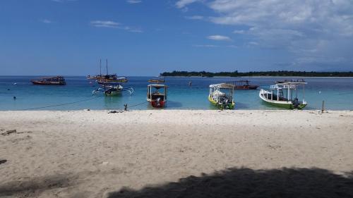 Wombat's B&B – Gili Trawangan, CO