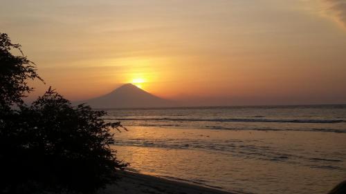 Wombat's B&B – Gili Trawangan, CO