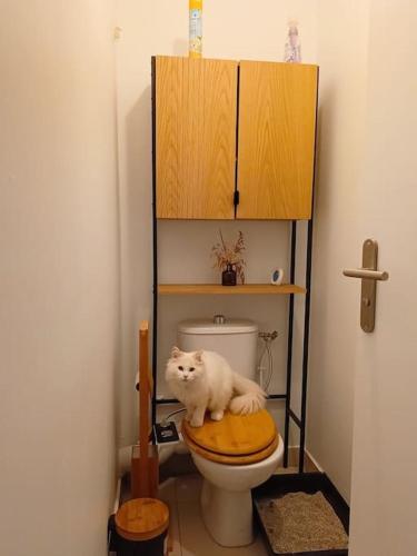 Cosy Flat-Positive vibes-4pers Cosy Flat-Positive vibes-4pers