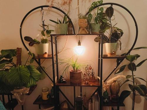 Cosy Flat-Positive vibes-4pers Cosy Flat-Positive vibes-4pers