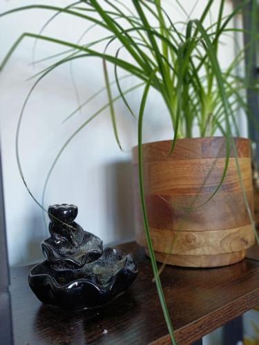 Cosy Flat-Positive vibes-4pers Cosy Flat-Positive vibes-4pers