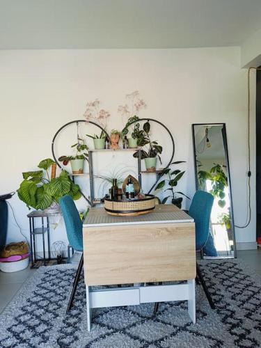 Cosy Flat-Positive vibes-4pers Cosy Flat-Positive vibes-4pers