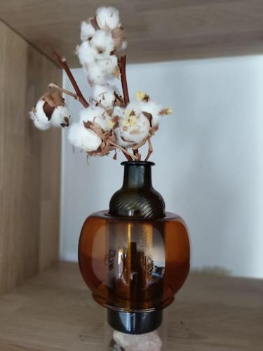 Cosy Flat-Positive vibes-4pers Cosy Flat-Positive vibes-4pers