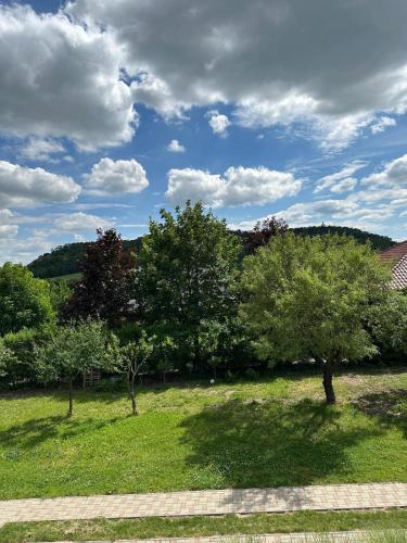 Apartmán Lípa Mikulov - image 9