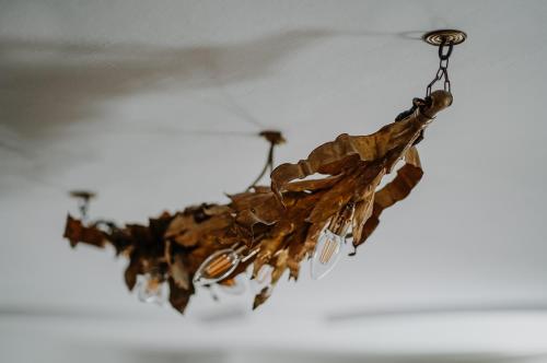 Ottmanngut Suite and Breakfast - image 8