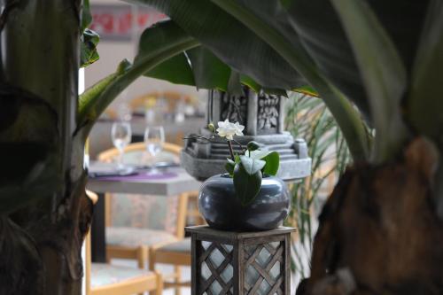 Au Sauvage - image 10