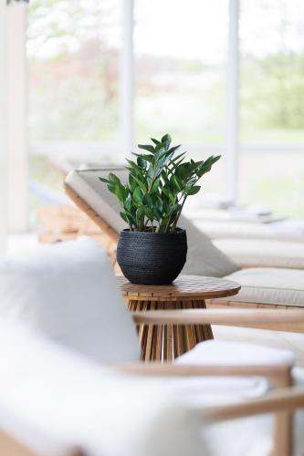 Hotel Ochsen - image 6