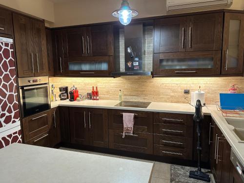 廚房, Panorama Stone Villa in 盧特拉奧萊亞斯厄倫尼斯