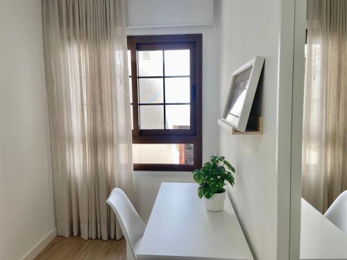 The Sun City Apartment - image 2