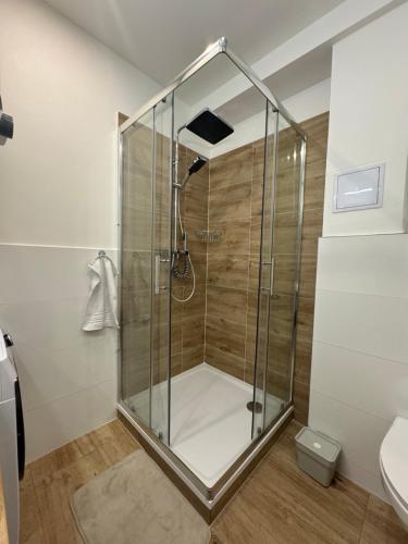 RK Apartment Brno in ลิเซน