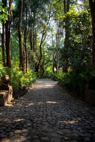 Amomoxtli, Tepoztlán (fotografie 6)