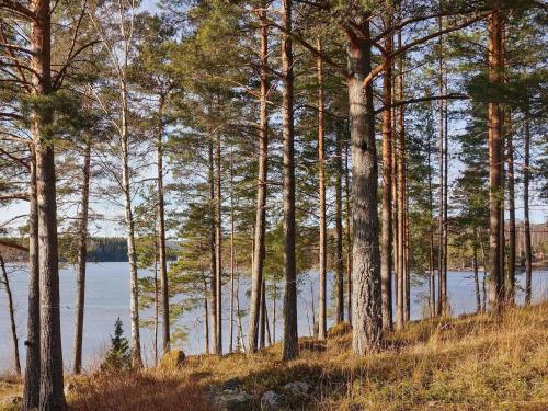 View, person holiday home in ARJANG in Arjang