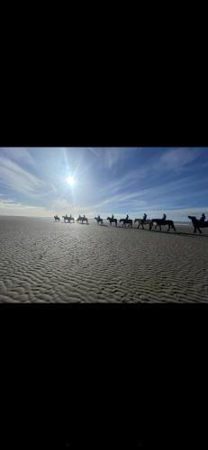 Horseback riding, Kimberly House in Fairbourne