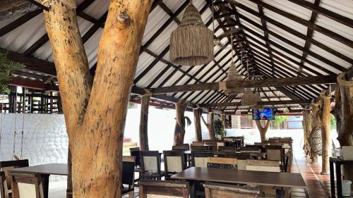 Зручності, Cabañas Pork Light (Cabanas Pork Light) in Фонд