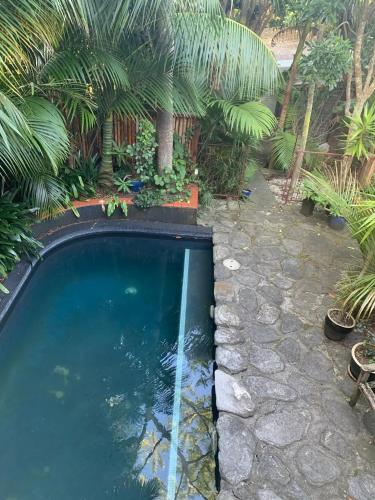 Springfield Studio near Auckland Zoo