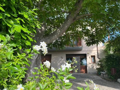 Casa Vacanze La Noce in Roseto Valfortore